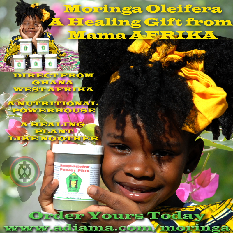 noni-moringa1.jpg